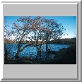 Salhouse Broad
