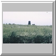 Barley Field
