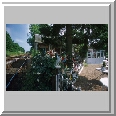 Model Garden, Strumpshaw
