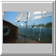Yachts Race
