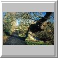 Path to Salhouse
