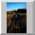 Ditch, Horsey Mere
