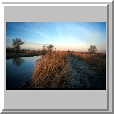 Dyke, West Somerton
