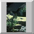 Heron