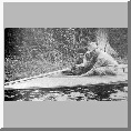 Loading a punt gun
