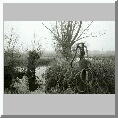 Woodbastwick Fen
