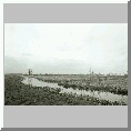 Claxton Marshes
