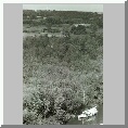 From Belaugh church tower
