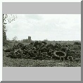 St Benets Abbey
