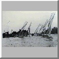 Coldham regatta 1906
