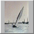 Rater at Potter Heigham Regatta
