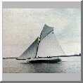A fine fetch on Breydon

