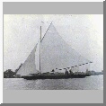 The rater "Vixen" by F H Chambers
